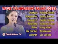 TAYUB TULUNGAGUNG FULL ALBUM PALING ENAK DI DENGAR