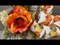 Beautiful Pumpkin Transformation