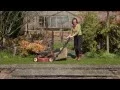 What to do in the garden in late spring