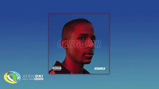 usanele bekezela feat bongeziwe mabandla official audio