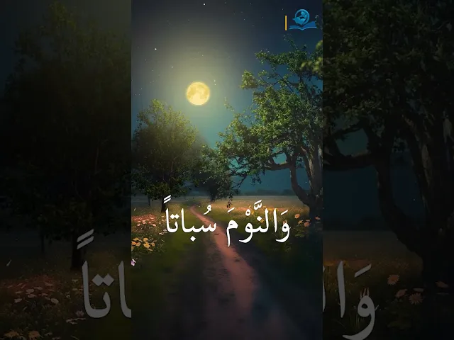 ⁣الحَمْدُ للهِ الَّذِي جَعَلَ اللّيْلَ لِباساً وَالنَّوْمَ سُباتاً، وَجَعَلَ النَّهارَ نُشُوراً