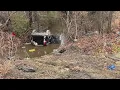 72-year-old man dies in overturned vehicle crash