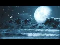 Amazing Night Sky With Moon Clouds Sta And Flapping Bird | Stock Video Background