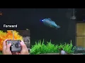 YEIBOBO 6 Channels Mini RC Submarine Toy