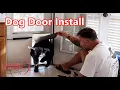 This is a CHEAP DOG DOOR DIY - How to Install PET Door for SCREEN Door DIY