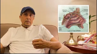 ما أسباب ضعف حاسة الشم هل يوجد ضعف دائم وضعف مؤقت وما العلاج 