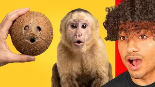 Weirdest Things You Can't UNSEE!!
