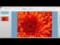 Adding a Text Box or Image to PowerPoint
