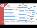 The Challenges of Software Engineering in a Rapidly Changing World