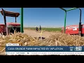 Third-generation farmer in Casa Grande staying optimistic