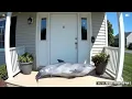 Download Lagu CCTV Camera: Caught Animals Ringing The Doorbell P7