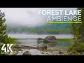 8 HOURS of Calming Lake Waves Sounds and Bird Chirping - 4K Mystic Atmosphere of a Forest Lake