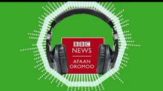 oduu bbc afaan oromoo november 24 2021