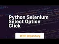 python selenium select option click
