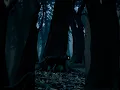 Download Lagu Horror in the Forest #horror
