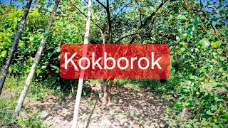 Boroy Bwthai Tornani Jora Chathai Fertilizer Tai Twi Rinasi Nangsognai Tripura India 