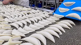 Insane Speed of Machines Making Thousands of Dumplings. Food Mass Production