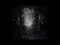 Opeth - The Leper Affinity (Cover)