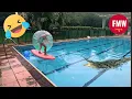Download Lagu Funny \u0026 Hilarious People Life 😆 #485  | TRY NOT TO LAUGH CHALLENGE 😂 | Funny Videos Compilation 2025