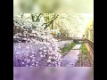 로시 (Rothy) – 다 핀 꽃 (Blossom Flower) Lyrics