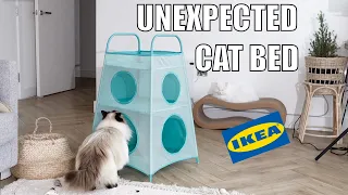 Download Unexpected cat bed from IKEA 🙀 | mmeowmmia MP3