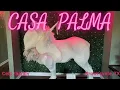 CASA PALMA UNIQUE THEME AIRBNB BROWNSVILLE TX