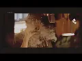 Hank Williams, Jr. - "Jesus, Won't You Come By Here" [Official Music Video]