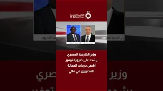 وزير الخارجية المصري يشدد على ضرورة توفير أقصى درجات الحماية للمصريين في مالي 