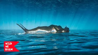 Falling Back In Love With The Ocean