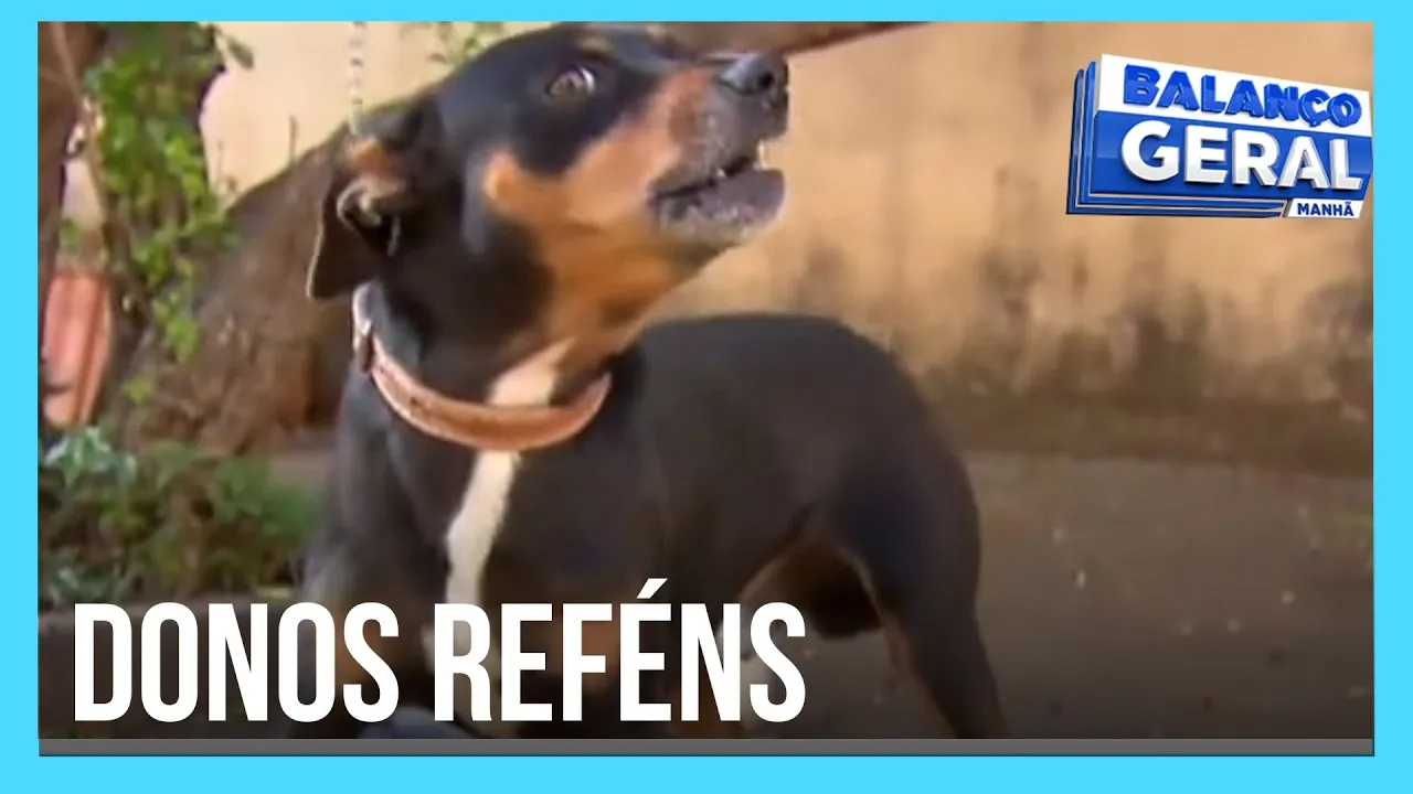 Cachorro enfurecido mantém donos "reféns" no interior paulista