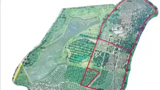 Rare Fruit Tree Nursery in California sells over 1000 Varieties. 