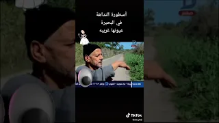  النداهه اسطوره ف البحيره عيونها غريبه      دندنها