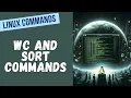 15 wc and sort Commands in Linux Count Words Lines and Organize Files -