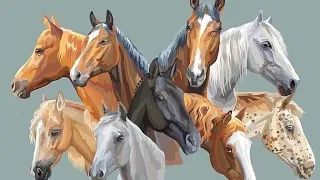 وين الخيل تشد الحيل تجر الويل حوافرها دندنها