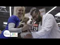 VIP Petcare - Holiday Tips for Safe Happy Pets