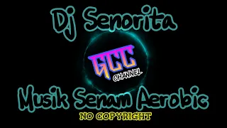 musik aerobic dj senorita remix no copyright