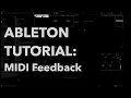 Ableton Tutorial iterative MIDI FEEDBACK phrases