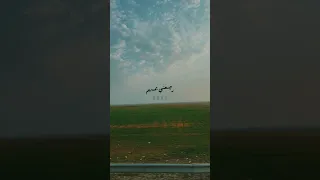 هيثم يوسف يا شوك 