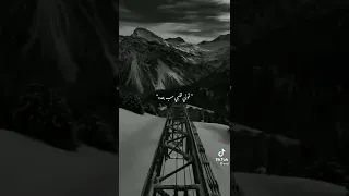 احمد كامل قولي غاب مش فاكره شكله 