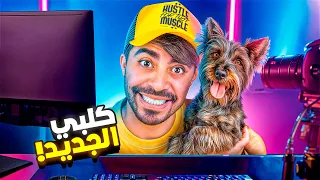 محاكي اليوتيوبر 9 اشتريت كلب Streamer Life Simulator 2 
