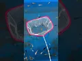 Download Lagu Digoyang goyang ikan pada ngumpul 😅😅