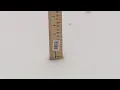 Maine snow totals Snowfall reports from Dec 14 2025