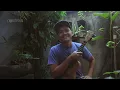 Download Lagu Tutorial ukulele Nosstress - Yang Kita Semua Rindu