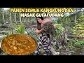 Download Lagu HAMPIR BANJIR,KITA PANEN SEMUA KANGKUNG DAN MASAK GULAI UDANG NANAS