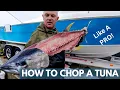 Download Lagu How to fillet a Tuna Like a Pro!!!!