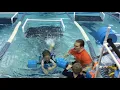 Bear Paddle Teaching 3 Year Old to Swim W Face in Water
