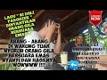 Download Lagu Orang gila bersuara emas nyanyi lagu SI DOLI PARGOJEK di warung tuak ❗❗#sidolipargojek #warungtuak