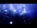 Download Lagu Axol x Alex Skrindo - You [NCS] (Slowed + Reverb)