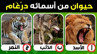 اسئلة ثقافية ممتعة واجوبة    اختبر ثقافتك العامة  دندنها
