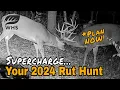 How To Follow And Hunt The 2024 Rut